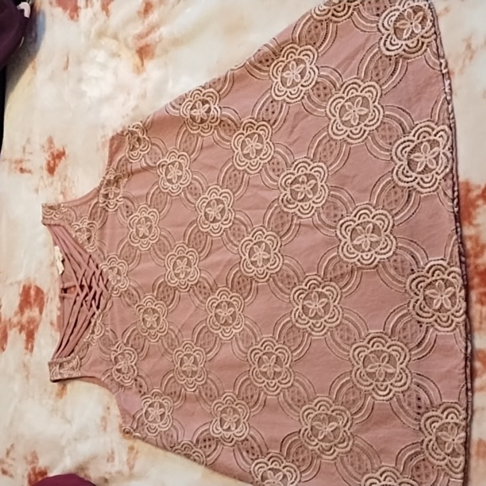 Entro Lace Overlay Lined Mini Dress